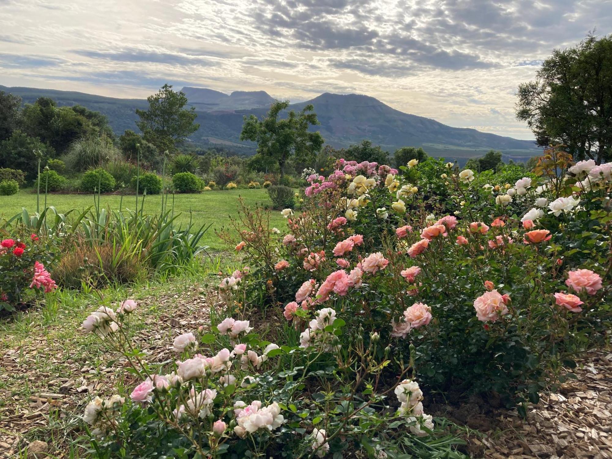 Bramber Cottage Hogsback, Living With Joy! 외부 사진